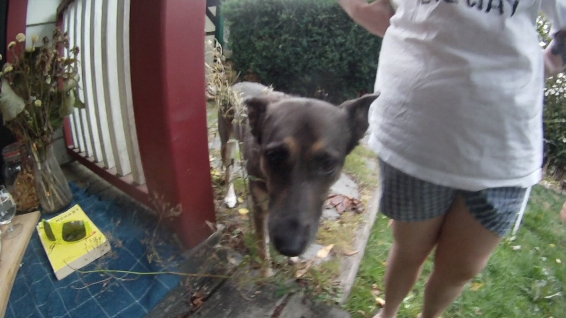 Load video: 
